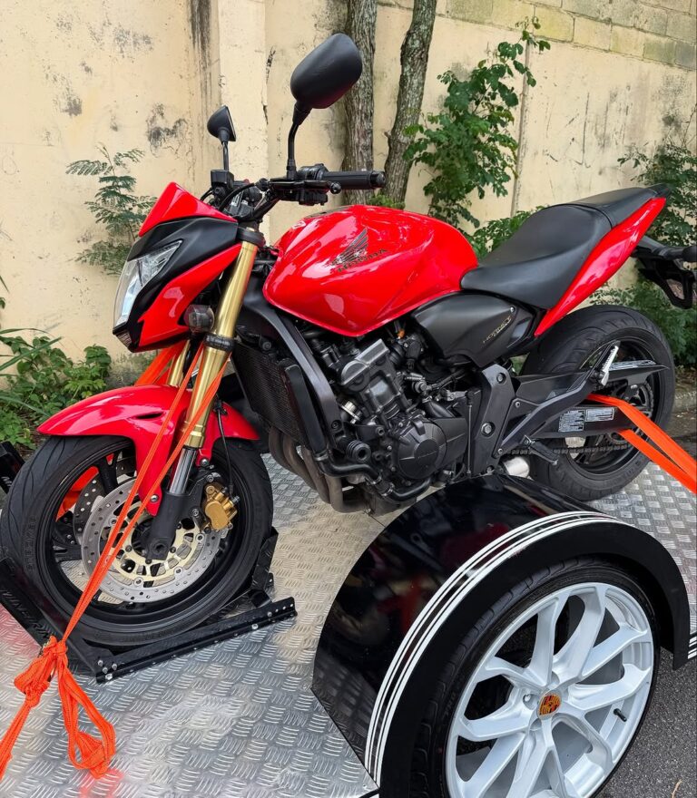 SaveClip.App_485711807_18190111537308216_5247249806235231316_n